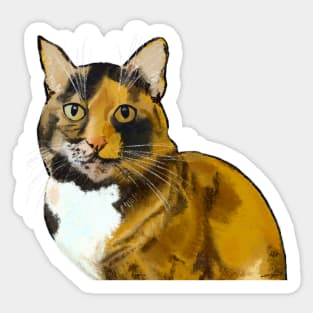 Tortoiseshell Cat Sticker